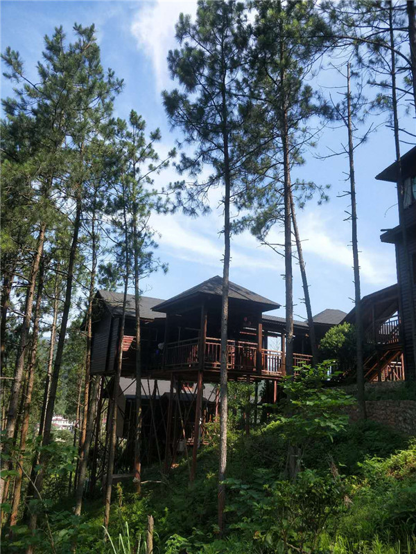 木屋