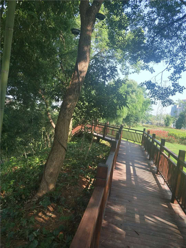 栈道