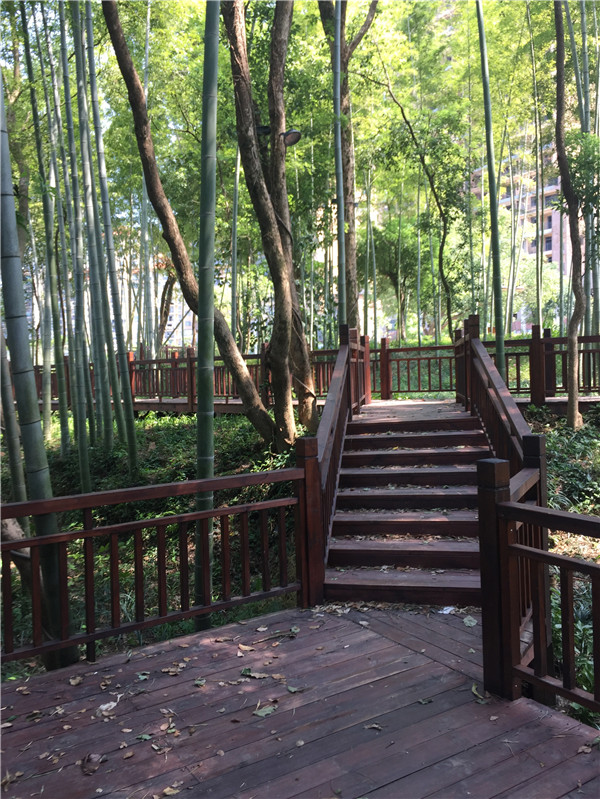 栈道